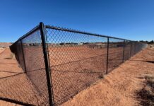 Local “Dog Park” Revealed to Be Minimalist Art Installation on Deforestation, Confused Pets Left to Ponder Artistic Intent Kanab Dog Park?